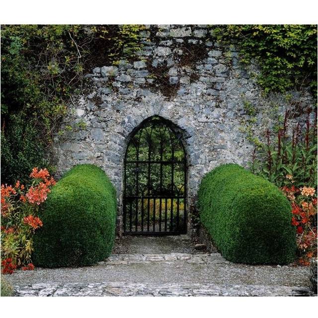Gothic Entrance Gate Walled Garden Ardsallagh Co Tipperary Ireland Poster Print by The Irish Image Collection, 30 x 26 - Large