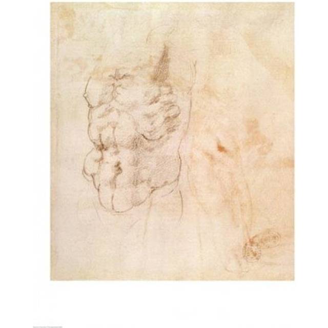 Torso Study Poster Print by Michelangelo Buonarroti - 24 x 36 in. - Large