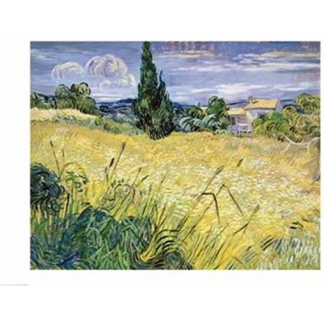 Landscape with Green Corn 1889 Poster Print by Vincent Van Gogh - 36 x 24 in. - Large
