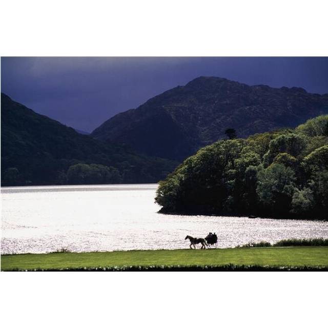 Horse & Buggy by Waterfront Poster Print by Gareth McCormack, 36 x 24 - Large