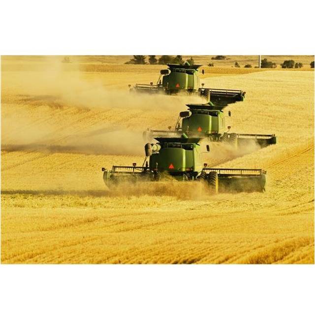 Paplow Harvesting Company Custom Combines A Wheat Field Near Ray - North Dakota United States of America Poster Print - 38 x 24 in. - Large