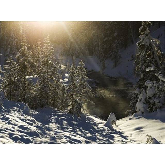 Snow Covered Trees Yoho National Park - British Columbia Canada Poster Print by Keith Levit, 38 x 28 - Large