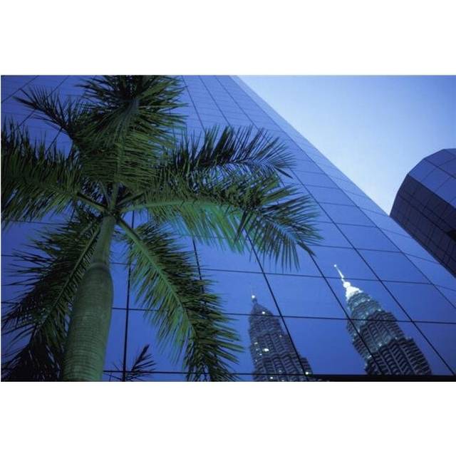 Palm Tree & Reflection of Petronas Towers In Facade Poster Print, 18 x 12