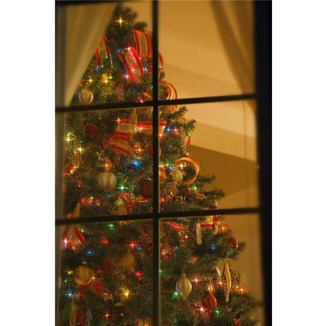 Looking At Indoor Christmas Tree Through Window Poster Print by Carson Ganci, 11 x 17