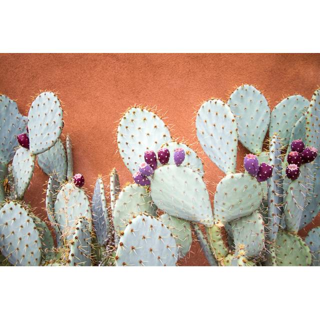 Prickly Pear Cactus - Wrapped Canvas Art Prints - Brown;Green;Purple (51cm H x 76cm W x 3.8cm D)