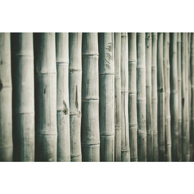 Bamboo Background - Print - Grey (81cm H x 122cm W x 3.8cm D)