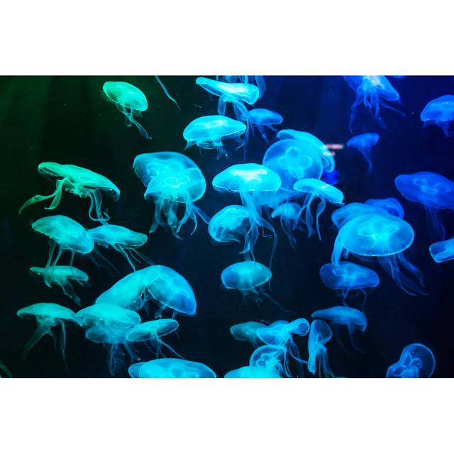 Blue illuminated jellyfish (30cm H x 46cm W x 3.8cm D)