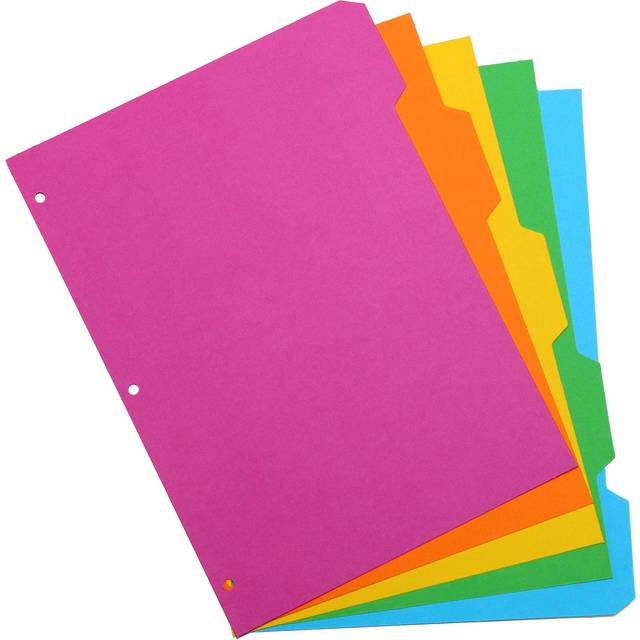 Pukka Pad 5 Part Dividers - 1 Pack of 5 Tab Set  3-Ring Binder Compatible  8 1/2 x 11 Inches - Bright Colors