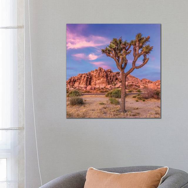 Joshua Tree Evening Scenery by Melanie Viola - Wrapped Canvas Photograph (66.04cm H x 66.04cm W x 1.905cm D)