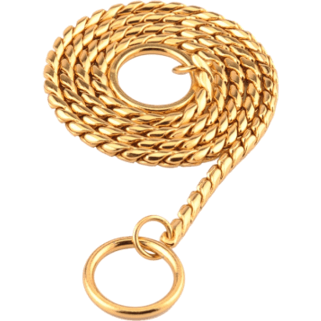 Hundhalsband med Guldkedja -  40cm (Längd: 40cm)