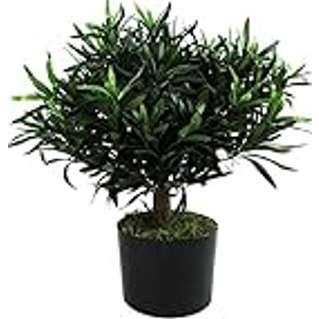 40Cm Artificial Evergreen Plant in Pot (40cm H X 40cm W X 40cm D)