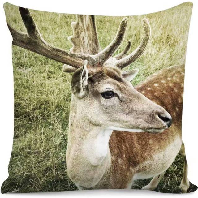 Deer Home DÃ©cor Custom Patterns Throw Pillow Covers for Couch Sofa Bed, Cotton Decorative Pillows Cushion Covers, 18 x 18 inches, Set of Single