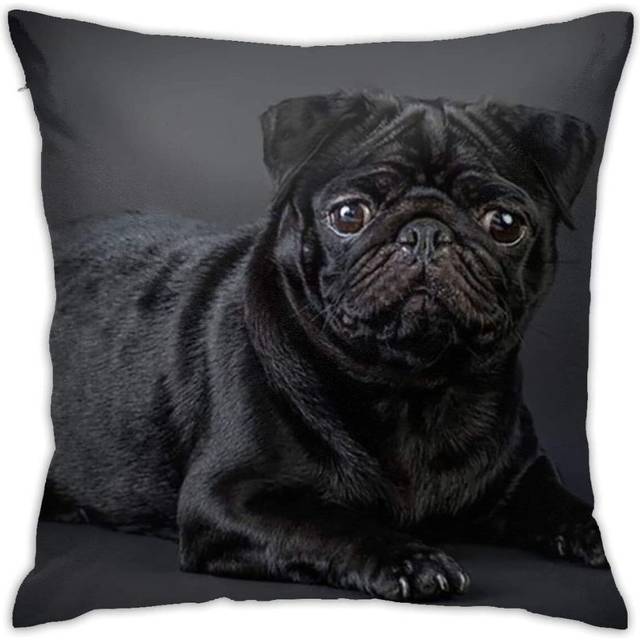 Black Pug Throw Cushion Cover Throw Pillow Cover
