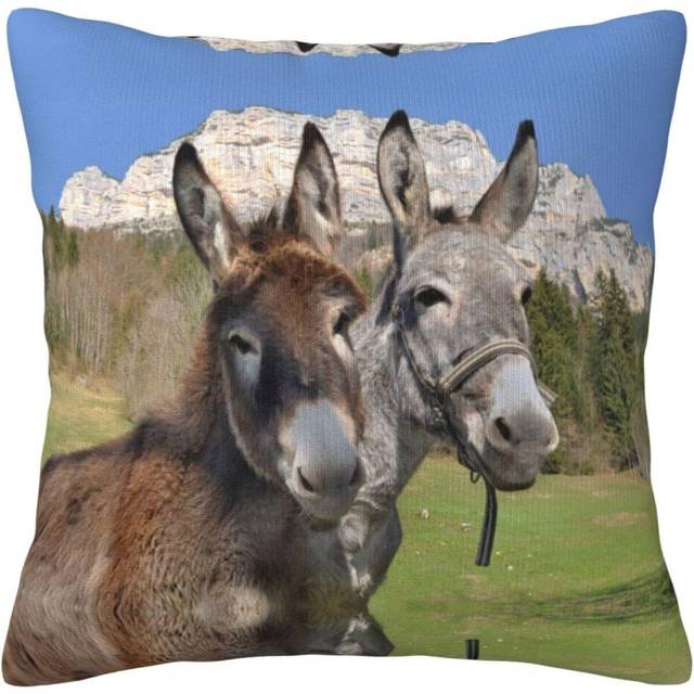 Funny Donkeys Pillow Case Covers Print Decorative Throw Pillow Covers For Room Sofa cmxcm