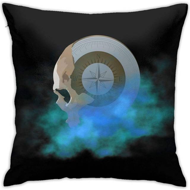 Dan Avidan I Can Look Ahead Home Decorative Throw Pillow Covers for Sofa Couch Cushion Pillow Cases 18x18 inchch