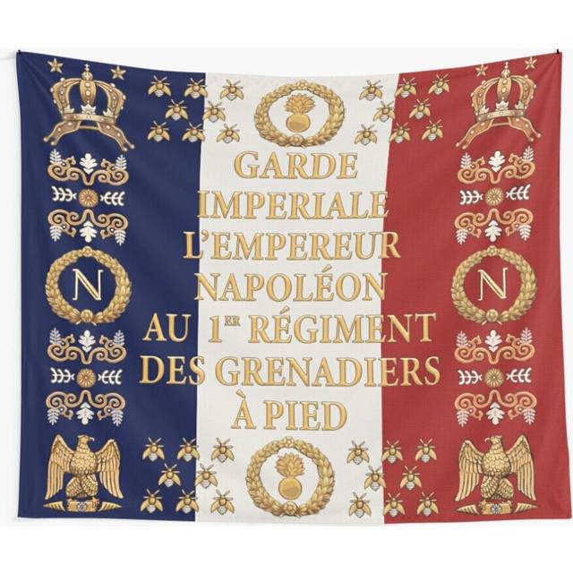 "Tapestry 60x50inch Napoleonic French ""1er Garde Imperiale"" flag Wall Hanging Art DÃ©cor Living Room"