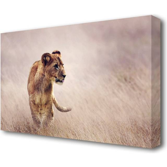 Lioness Teen Wildlife - Wrapped Canvas Photograph Print (66cm H x 101.6cm W x 4.4cm D)