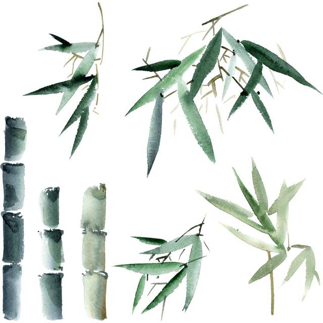 Bamboo Elements by Ola Tarakanova - Wrapped Canvas Painting (76cm H x 76cm W x 3.8cm D)