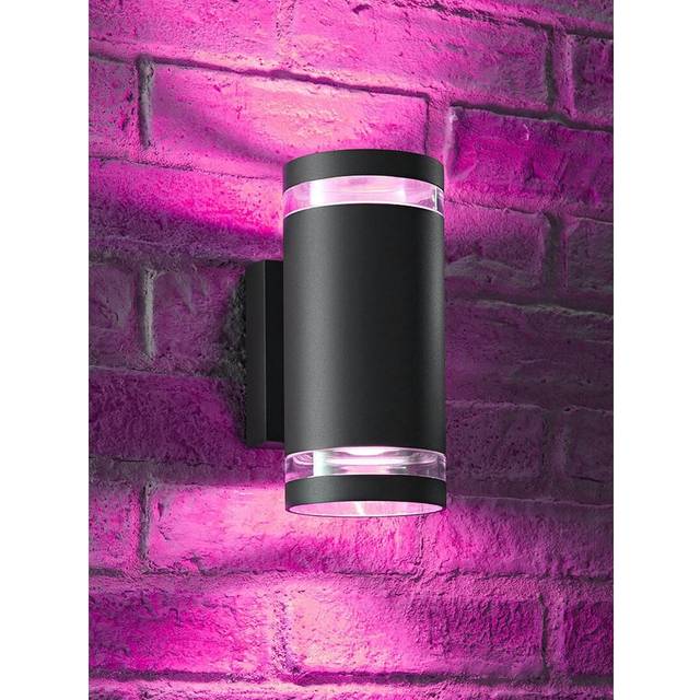 Anthracite Grey 2 - Bulb 21.6cm H Colourful Glass Outdoor Wall Lantern (21.6cm H X 10.2cm W X 13.7cm D)