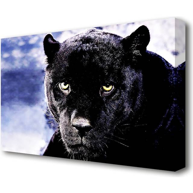 Black Panther Wildlife - Wrapped Canvas Photograph Print (66 cm H x 101.6 cm W)