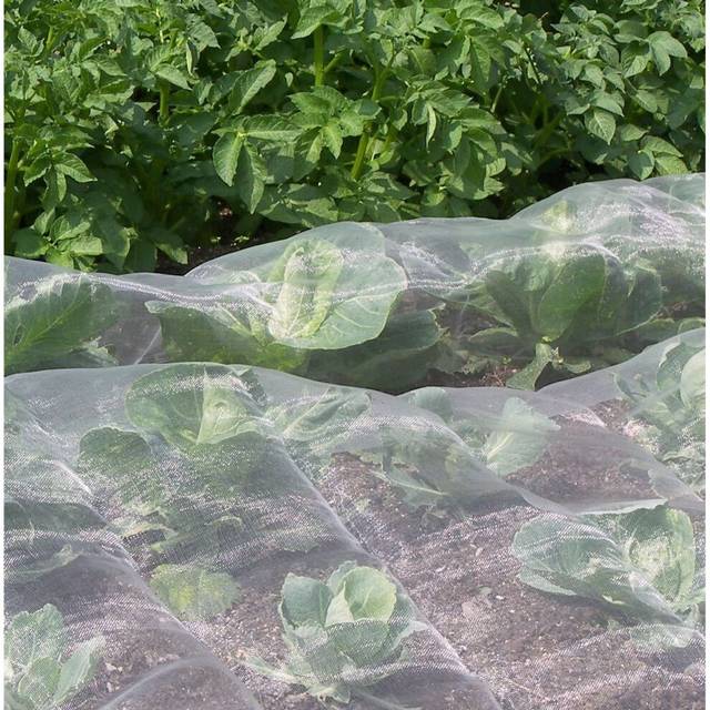 (2.1m x 20m) Insect Mesh Netting Veggiemesh Garden Netting