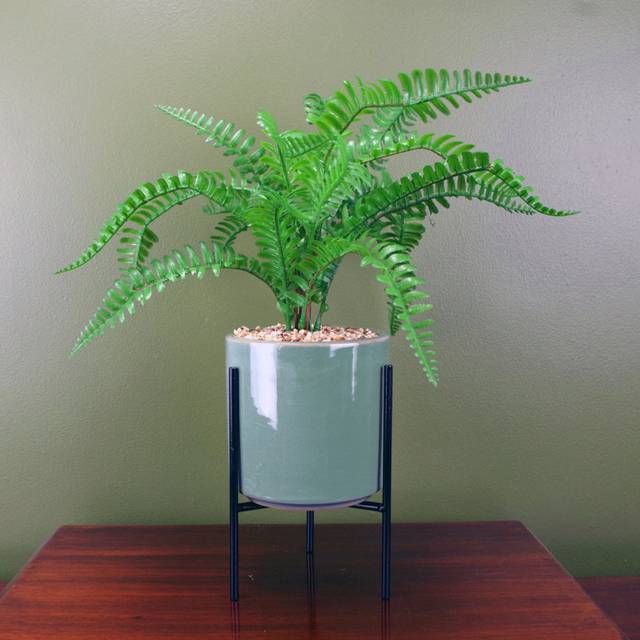 40Cm Artificial Fern Plant in Pot (40cm H X 35cm W X 35cm D)