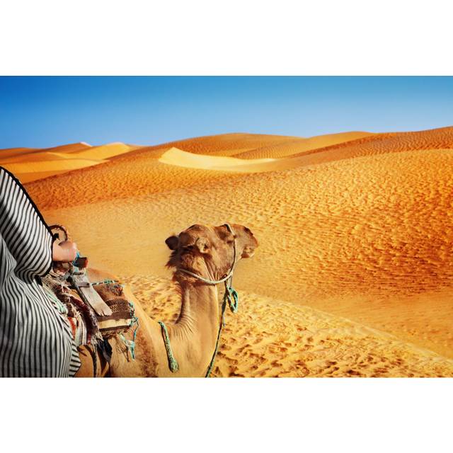 Sahara Desert by Adisa - Wrapped Canvas Photograph (51cm H x 76cm W)