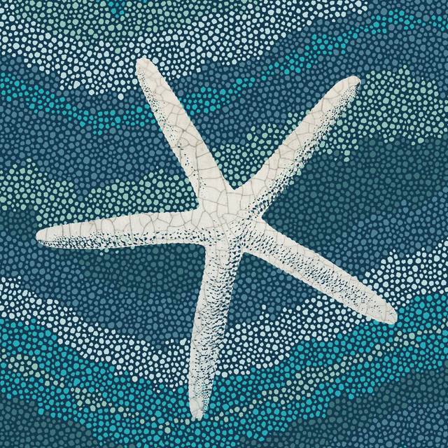 Sea Glass IV Crop by Wild Apple Portfolio - Wrapped Canvas Painting Print (51cm H x 51cm W)