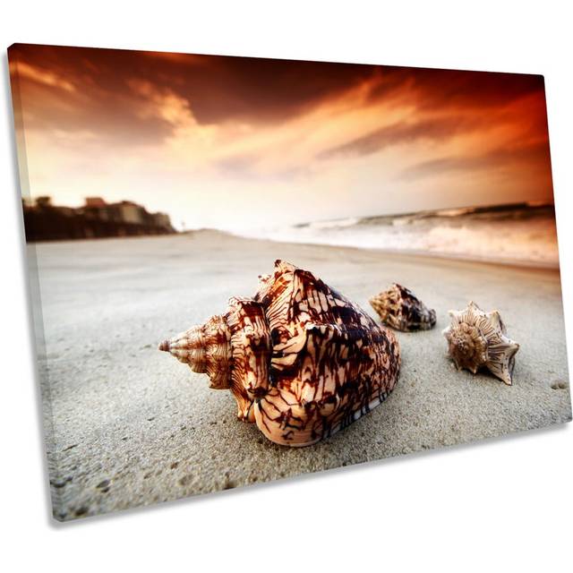 Sea Shell Sunset Beach CANVAS WALL ART Box Framed (61cm H x 91.4cm W x 4cm D)
