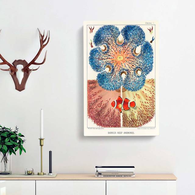 Great Barrier Reef Anemones I by W. Saville-Kent - Wrapped Canvas PaintingPrint (60cm H x 40cm W x 3cm D)