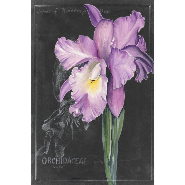 Chalkboard Flower II by Jennifer Paxton Parker - Wrapped Canvas Painting (122cm H x 81cm W x 3.8cm D)