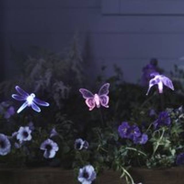 3 Butterfly, Dragonfly And Bird Solar Stakes - Multi Coloured
