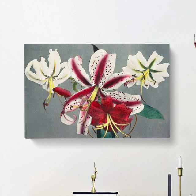 White and Pink Lilies by Kazumasa Ogawa - Wrapped Canvas Graphic Art Print (50cm H x 76cm W x 3cm D)