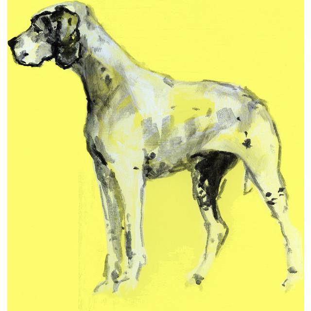 A Very Pop Modern Dog IV by Cartissi - Wrapped Canvas Painting (51cm H x 51cm W x 3.8cm D)