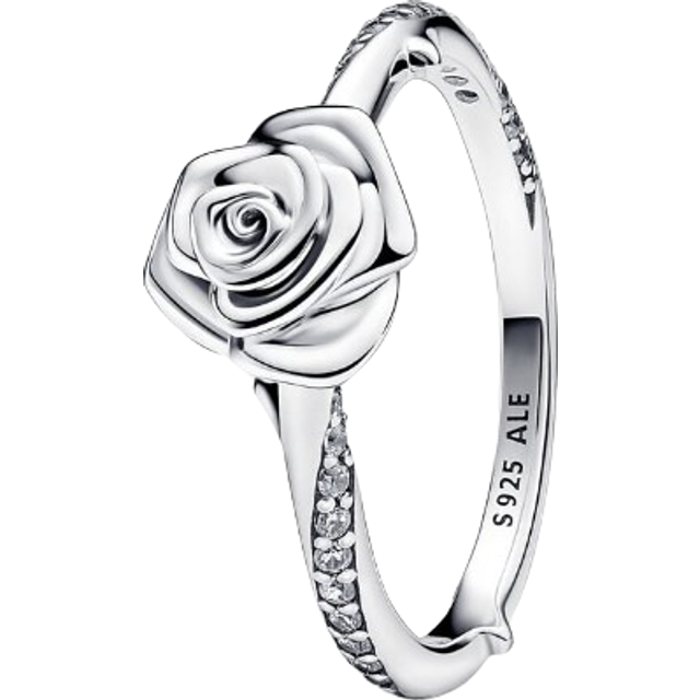 Pandora Damenring Moments 193215C01-52 - silber