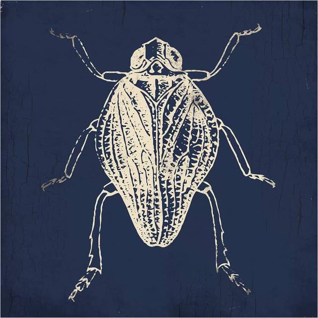 Bug Life Blue I by Milli Villa - Wrapped Canvas Graphic Art (45.72 cm H x 45.72 cm W x 3.175 cm D)