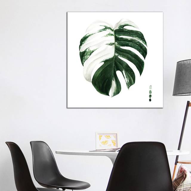 Variegated Monstera II by Grace Popp - Wrapped Canvas Art Prints (93.98cm H x 93.98cm W)