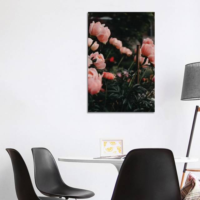 Coral Peonies by Chelsea Victoria - Wrapped Canvas Photograph (101.6 cm H x 66.04 cm W x 3.175 cm D)