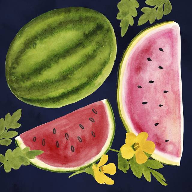 Fresh Fruit II by Victoria Borges - Wrapped Canvas Painting (122cm H x 122cm W)