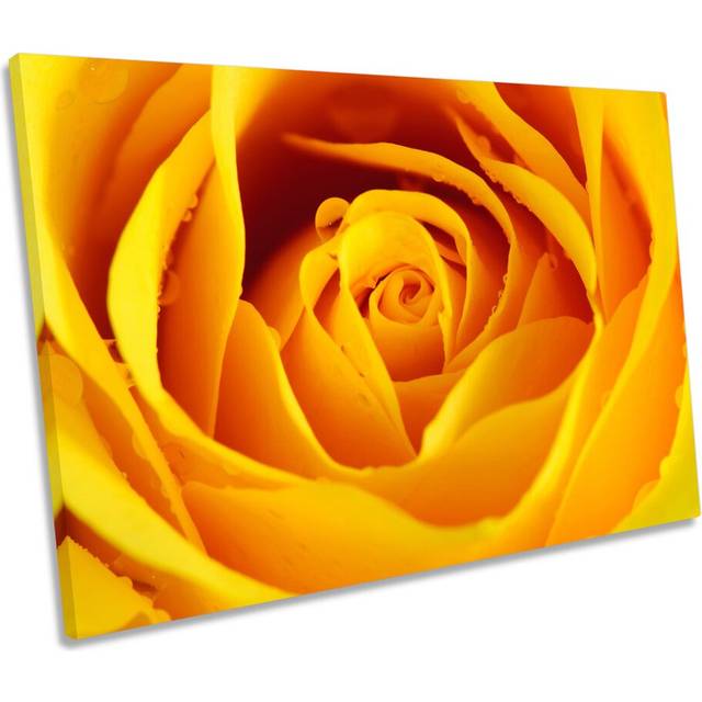 Yellow Rose Floral Flower - Wrapped Canvas Art Prints (50.8cm H x 76.2cm W x 2cm D)