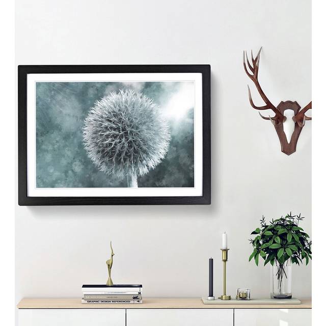 Globe Thistle - Picture Frame Graphic Art Print - Black Framed (33cm H x 45cm W x 2cm D)