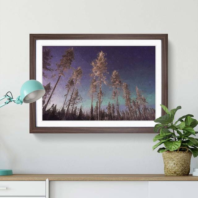 Trees Below the Northern Lights - Picture Frame Graphic Art Print - Walnut (60cm H x 91cm W x 2cm D)