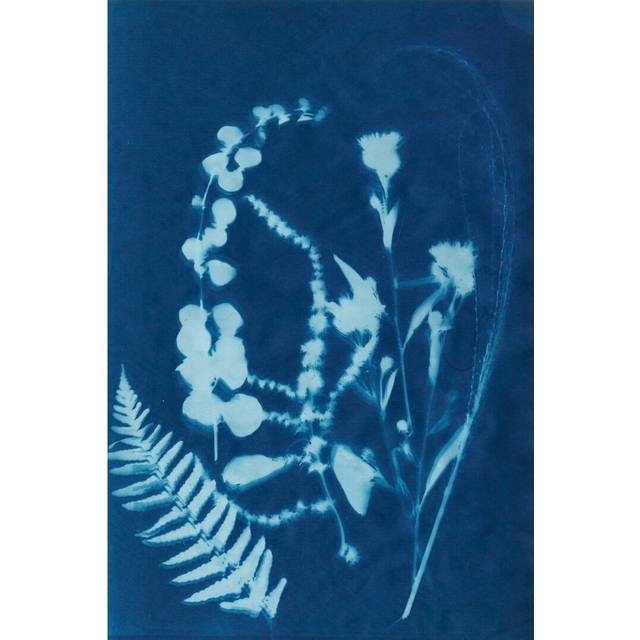 Cyanotype No.16 by Jenna Guthrie - Wrapped Canvas Painting (122cm H x 81cm W)