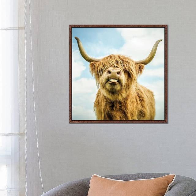 Highland Cow - Print on Canvas - Classic Brown Wood Framed (66.04 cm H x 66.04 cm W x 4.445 cm D)