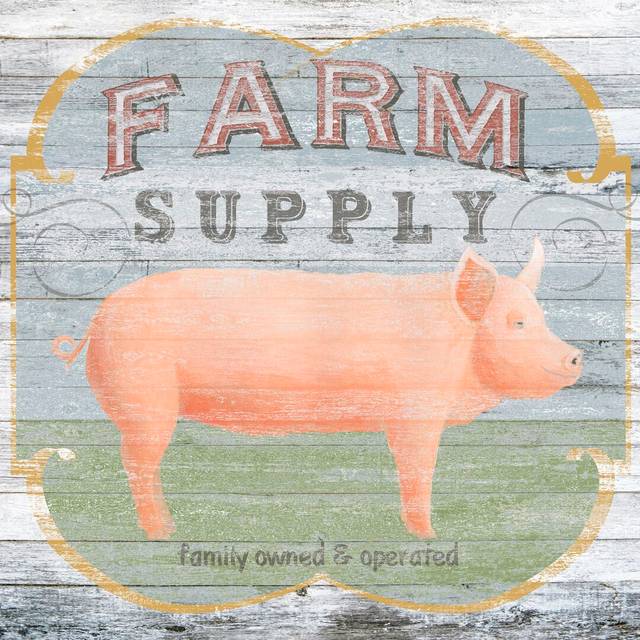 Farm Supply II by June Erica Vess - Wrapped Canvas Painting (91cm H x 91cm W)