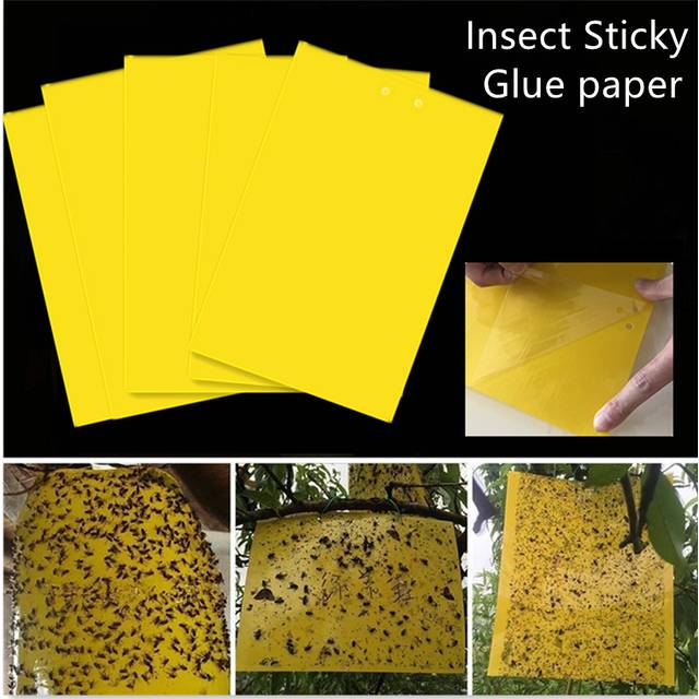 (5PCS) UK 20/50 x Yellow Sticky Glue paper Insect Trap Catcher Killer Fly Aphids Wasp