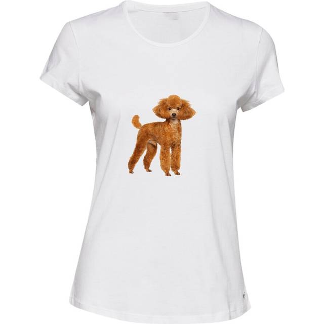 (XL) Brown Poodle Dog Cute Baby Puppy Pet White Ladies Women T Shirt Tee Top