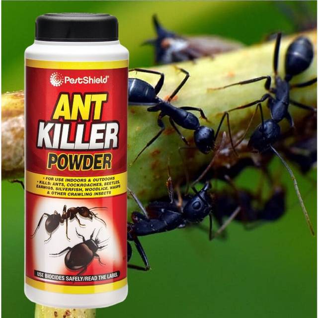 Ant Killer Powder Wasp Nest Crawling Flying Insect Pestshield 150g