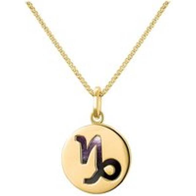 9ct Yellow Gold Blue John Zodiac Capricorn Round Necklace - Gold