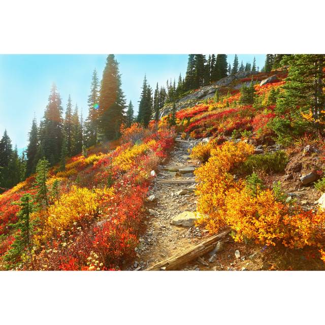 Mount Rainier Washington - Wrapped Canvas Photograph (61cm H x 91cm W x 3.8cm D)